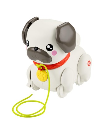 Catelus de tras cu lesa si...